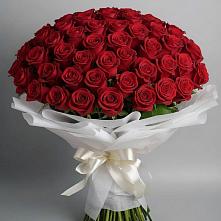 Букет 101 Красная роза Блэк Мэджик #REPLACE_PRED# Середниково