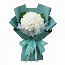 Букет цветов из:  Гортензия #REPLACE_PRED# Середниково